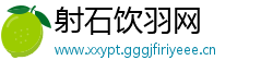 射石饮羽网